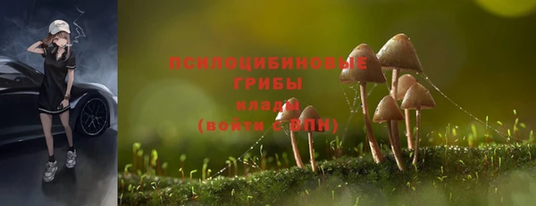герыч Беломорск